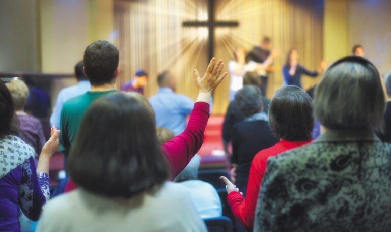 Non Profit Wordpress Theme