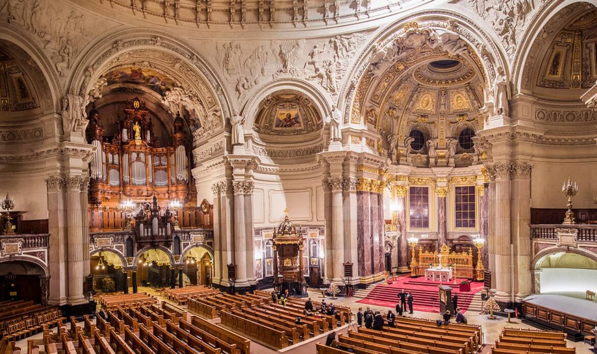 Non Profit Wordpress Theme - Portfolio